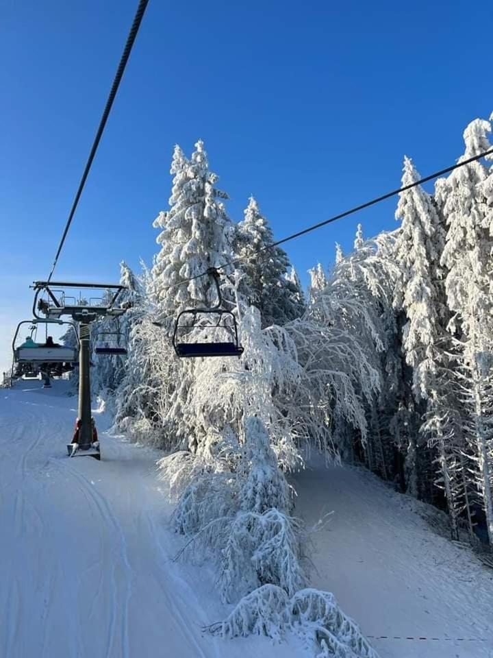 Haus Annemiek Apartman Winterberg Kültér fotó
