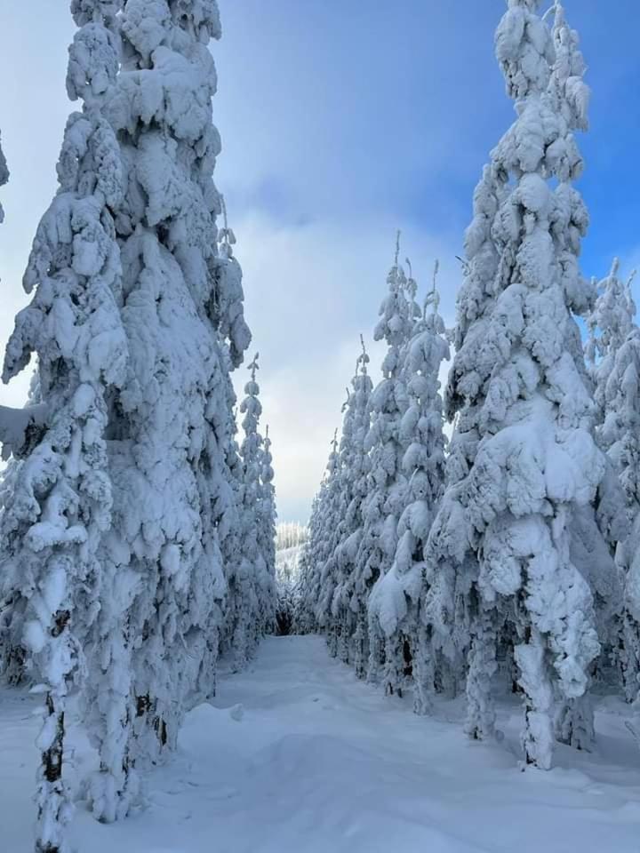 Haus Annemiek Apartman Winterberg Kültér fotó