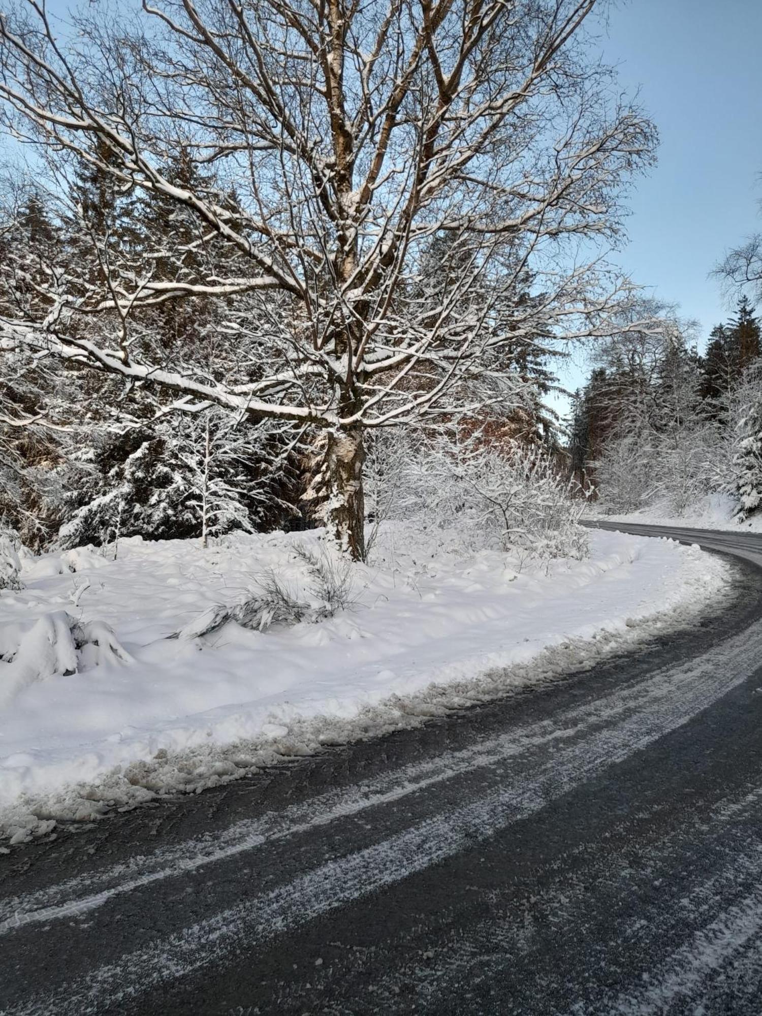 Haus Annemiek Apartman Winterberg Kültér fotó