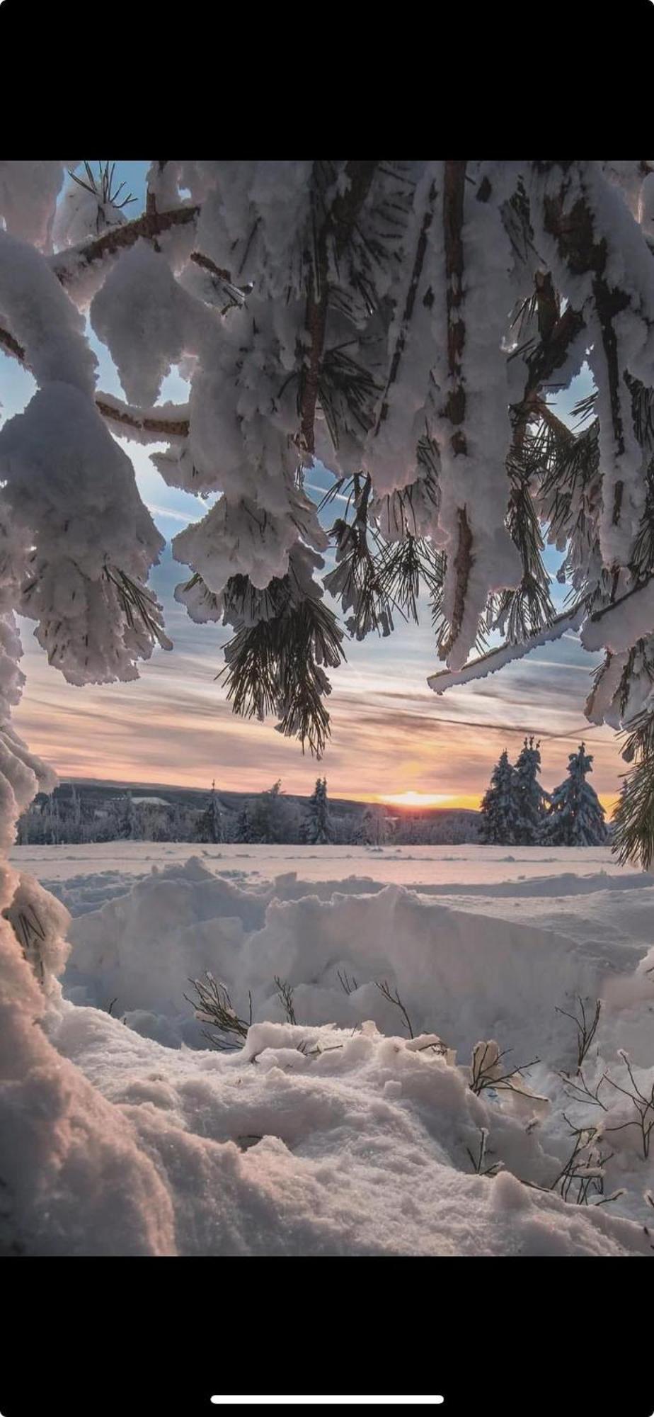 Haus Annemiek Apartman Winterberg Kültér fotó